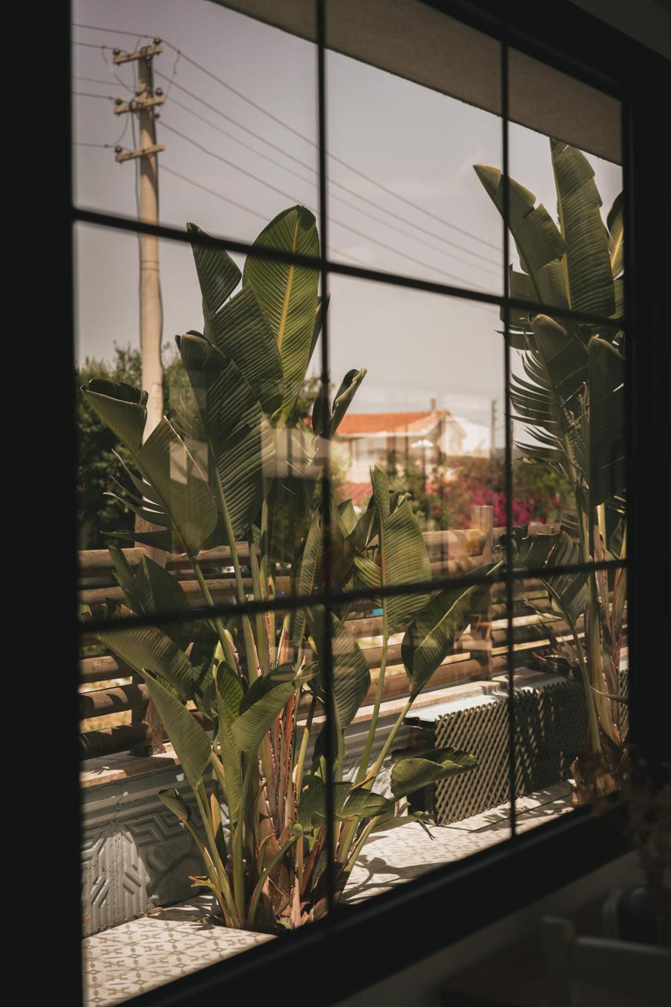 La Vida Otel Urla Luaran gambar